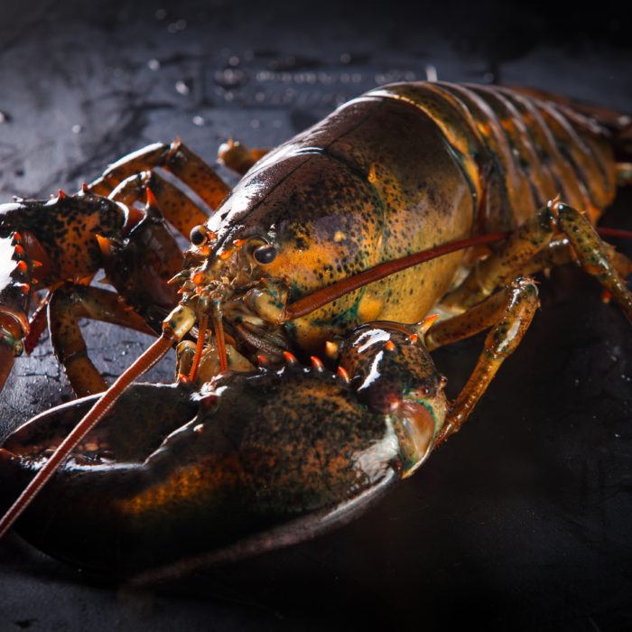Red in the Face: Why Do Lobsters Turn Color When They’re Cooked?