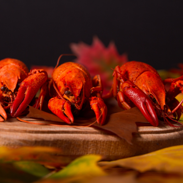 Was Lobster Part of the First Thanksgiving Meal?
